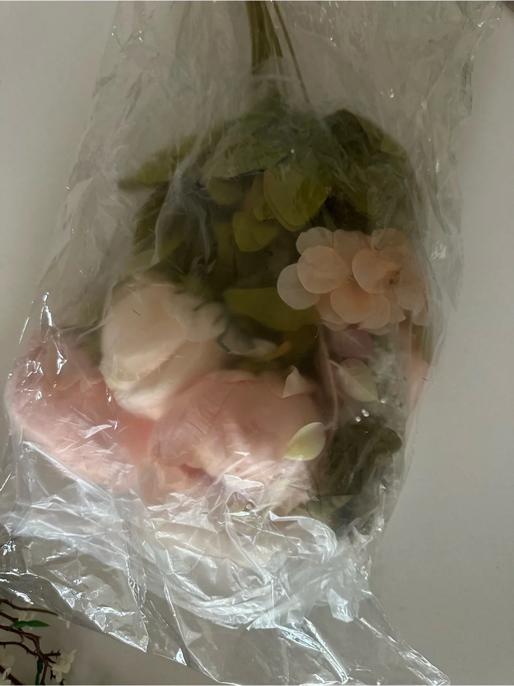 Champagne Faux Peony Stems by